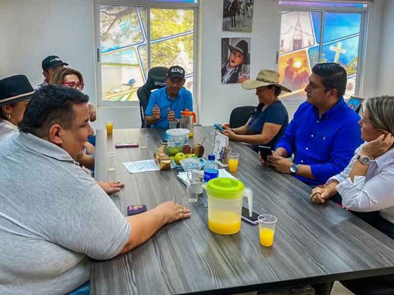 Alborada expandirá sus servicios de alumbrado público al municipio de el castillo