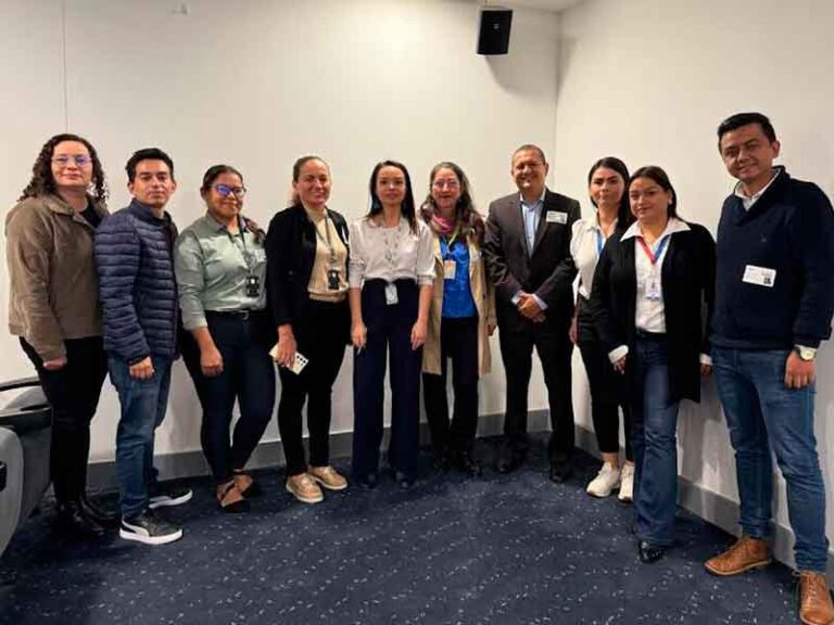 Villavicencio pide al gobierno nacional medidas para mitigar impacto de llantas residuales