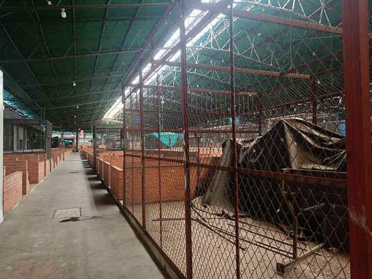Concejo municipal autoriza venta de locales en la central de abastos para financiar proyectos estratégicos