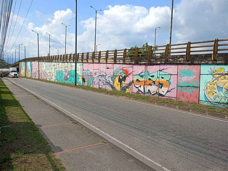 Gobierno municipal inicia hoy el lavado y embellecimiento de los puentes vehiculares de la ciudad