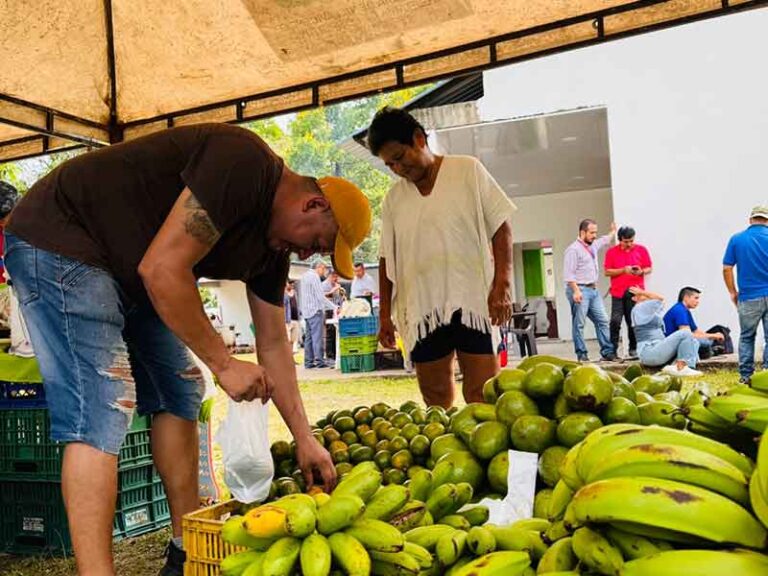 Pequeños productores tienen hasta el domingo para inscribirse en la rueda de negocios con olímpica