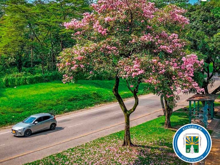 Arrancó oficialmente la programación del aniversario 185 de Villavicencio