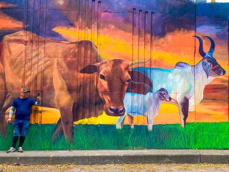 El camino ganadero’ es la obra abre paso a un nuevo corredor turístico y cultural en Villavicencio