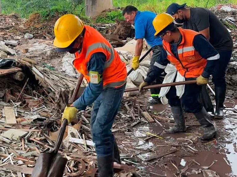 Con jornada de rehabilitación ambiental se previene el peligro aviario del aeropuerto vanguardia