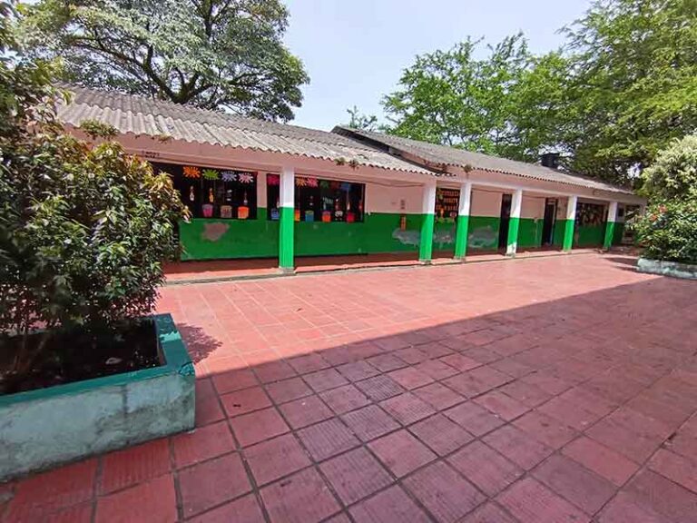 Alcalde Alexander Baquero pide evitar la siembra de árboles que deterioran la infraestructura escolar
