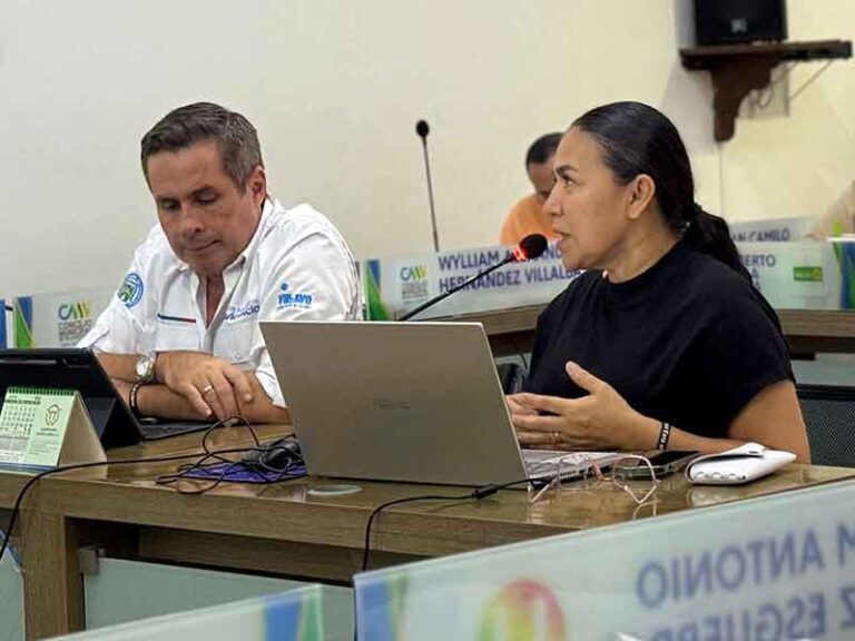 Con el apoyo de Corcumvi fueron aprobados cuatro proyectos de acuerdo que fortalecen el arte y la cultura