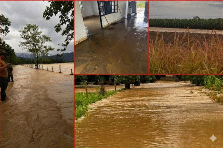 🚨 ALERTA MÁXIMA EN EL META: 14 VEREDAS INUNDADAS EN EL CASTILLO POR EL DESBORDAMIENTO DEL RÍO CUMARAL